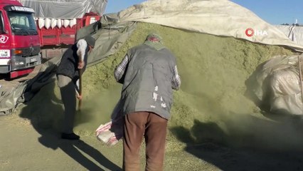 Soğuk Havalar Saman Satışlarını Düşürdü