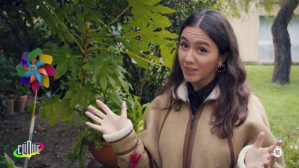 CLOTHILDE FAIT UN FILM (épisode 6) : "L'inspiration" avec Anaïde Rozam et Roman Frayssinet - CANAL+