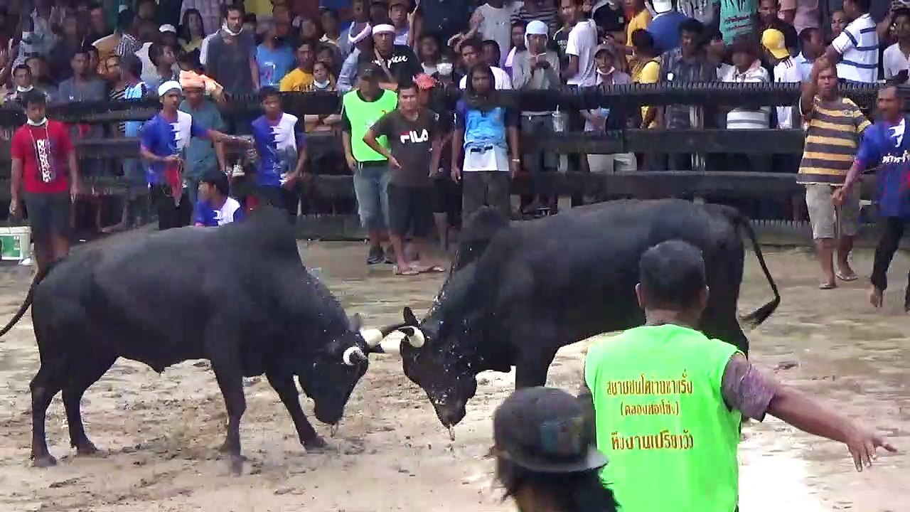 17/11/2563 คู่ที่ 7