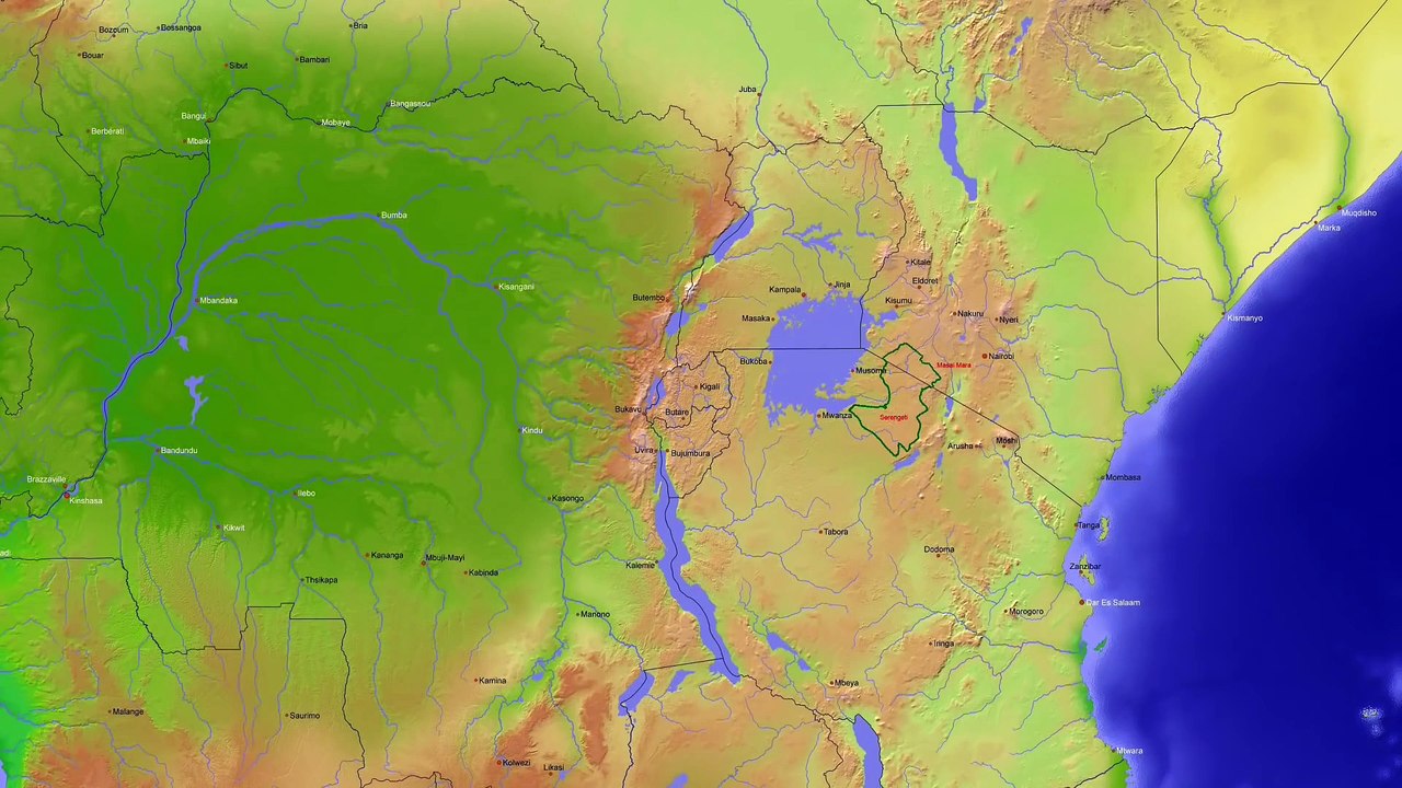 safari adventure in a wildlife paradise - Predators, big herds and wildebeest migration