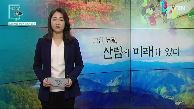 [11월 29일 시민데스크] 내가 본 DMB - 그린 뉴딜, 산림에 미래가 있다 / YTN