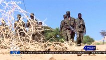 رئيس وزراء إثيوبيا يعلن دخول الجيش عاصمة إقليم تيغراي