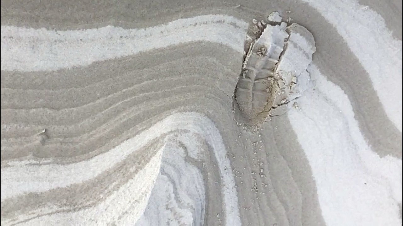 Echo DZELEM auf Corona 2020