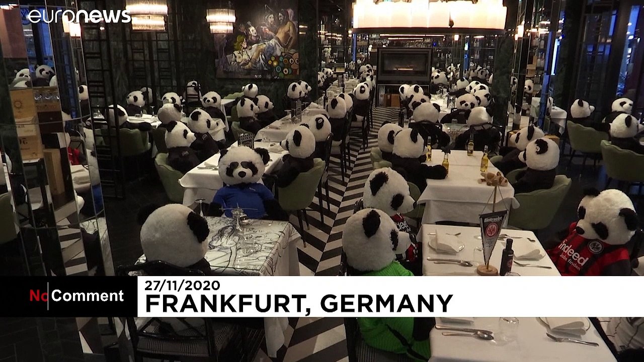 Panda-Pandemie-Protest: 'Setz mal ein paar Bärchen auf die Stühle!'
