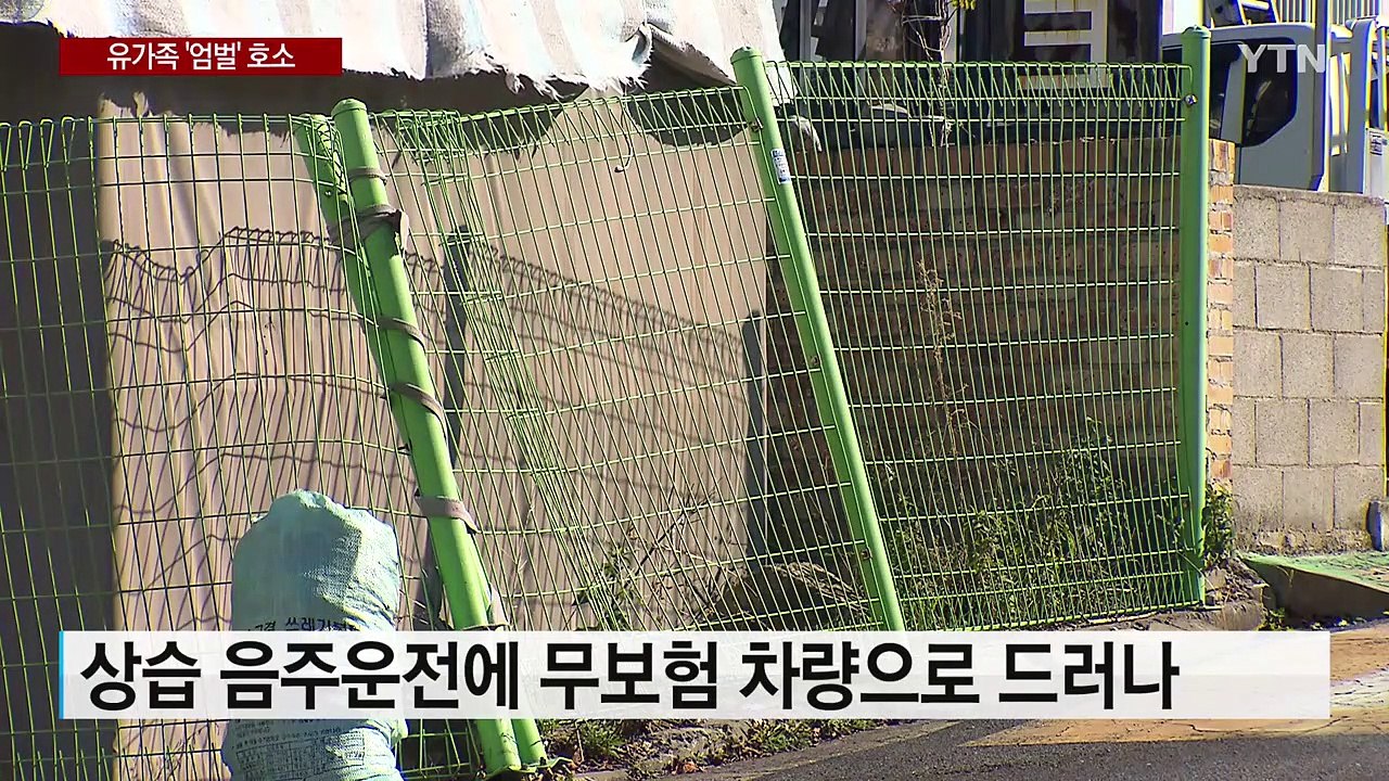 무보험 음주운전에 가족 잃은 유족 "살인이다" / YTN