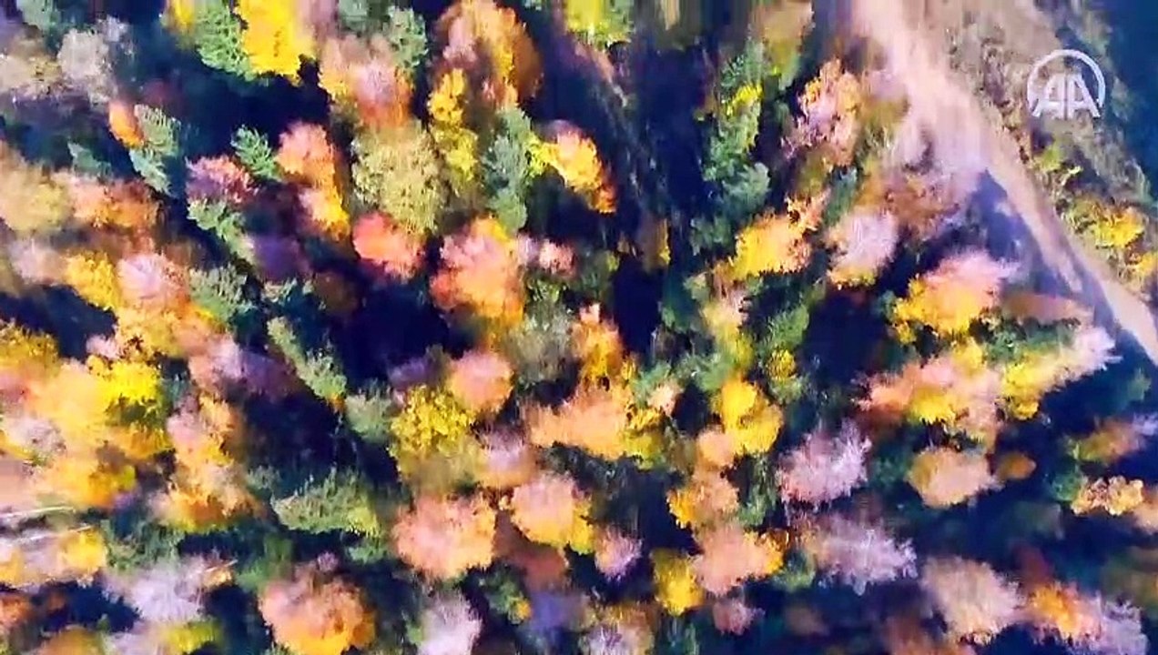 Çam Dağı güz renkleriyle görsel şölen sunuyor