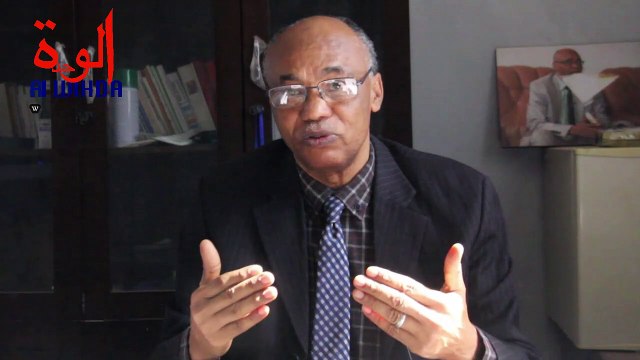 Terrorisme au Lac Tchad : faut-il réinsérer les désengagés de Boko Haram ?