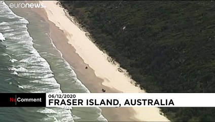 Australien: Buschfeuer zerstört größte Sandinsel der Welt "Fraser Island"