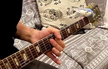 Un perroquet heureux de jouer à la guitare