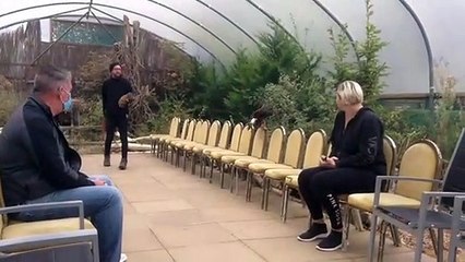 Falconry display at Baytree owl centre