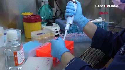 Türkiye'nin ilk 'mRNA' aşısı, hayvan deneyleri aşamasına geldi