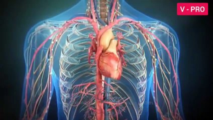 Importance Of Nitric Oxide ( NO ) For Human Body | This Nobel Laureate Urges You to Learn About It