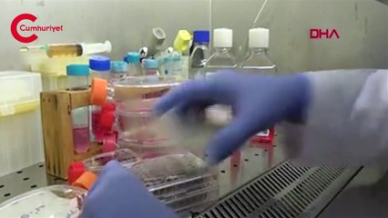 Türkiye'nin ilk 'm RNA' aşısı, hayvan deneyleri aşamasına geldi