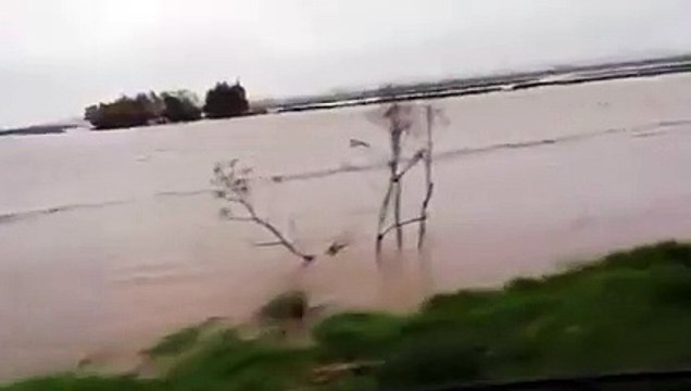 Il maltempo colpisce la Puglia: danni ed allagamenti nelle zone agricole