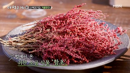 ★지호도감★ 다이어트와 변비에 좋은 식물 소금 ‘함초’! ‘진짜 짜네여...?’
