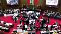 Fists and pig guts fly in Taiwan parliament