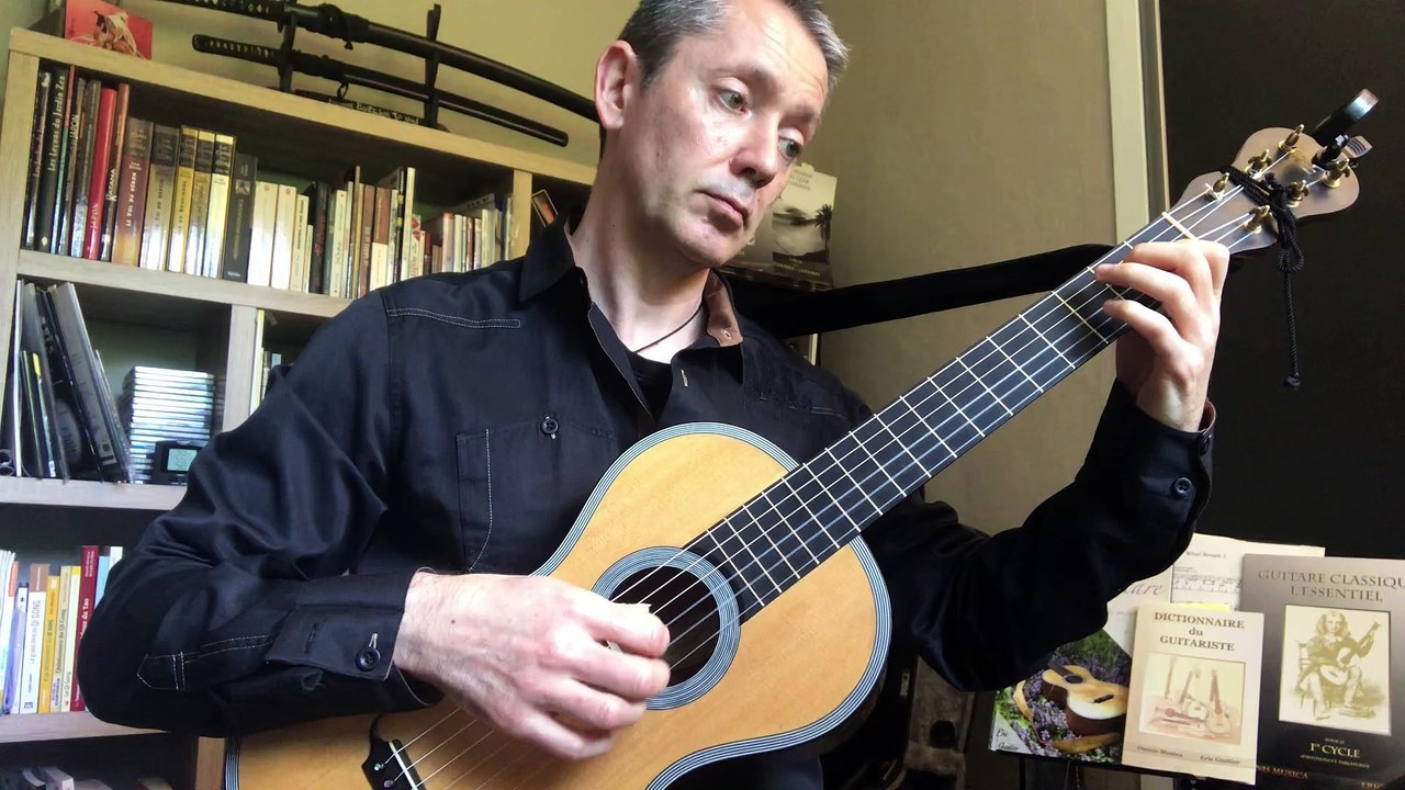 Valse n°1 op.121 de Ferdinando Carulli - Eric Gautier