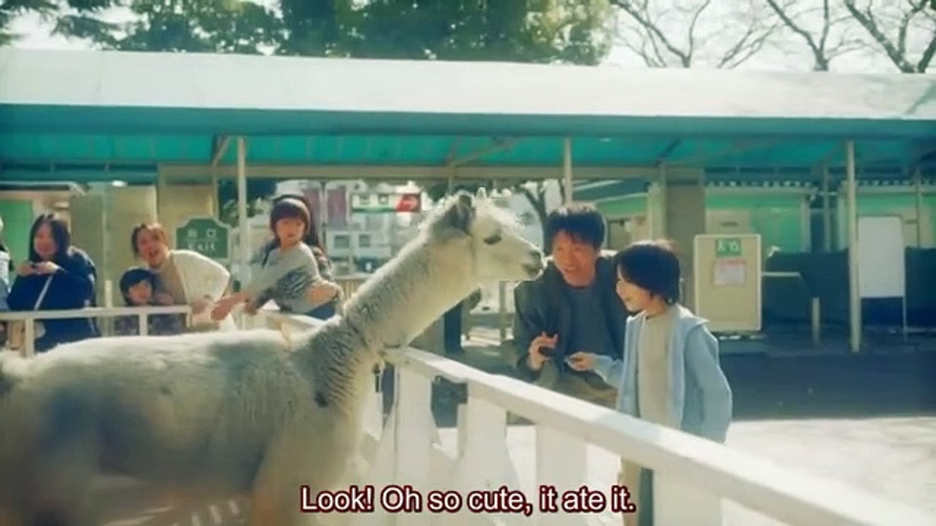 Strawberry Night Saga ストロベリーナイト サーガ English Subtitles Video Dailymotion