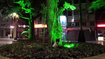 KASTAMONU - Sokağa çıkma kısıtlamasına uyuluyor