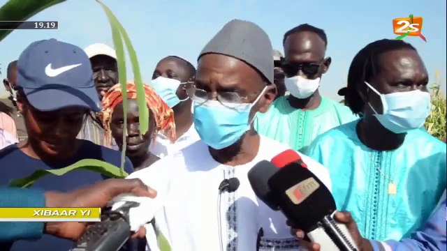 SUIVEZ XIBAAR YI 19H DU DIMANCHE 29 NOVEMBRE 2020 AVEC MAME NDIAWAR DIALLO