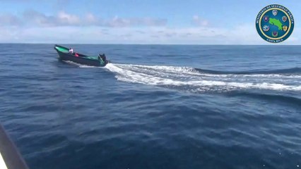 ext-decomiso-droga-291120