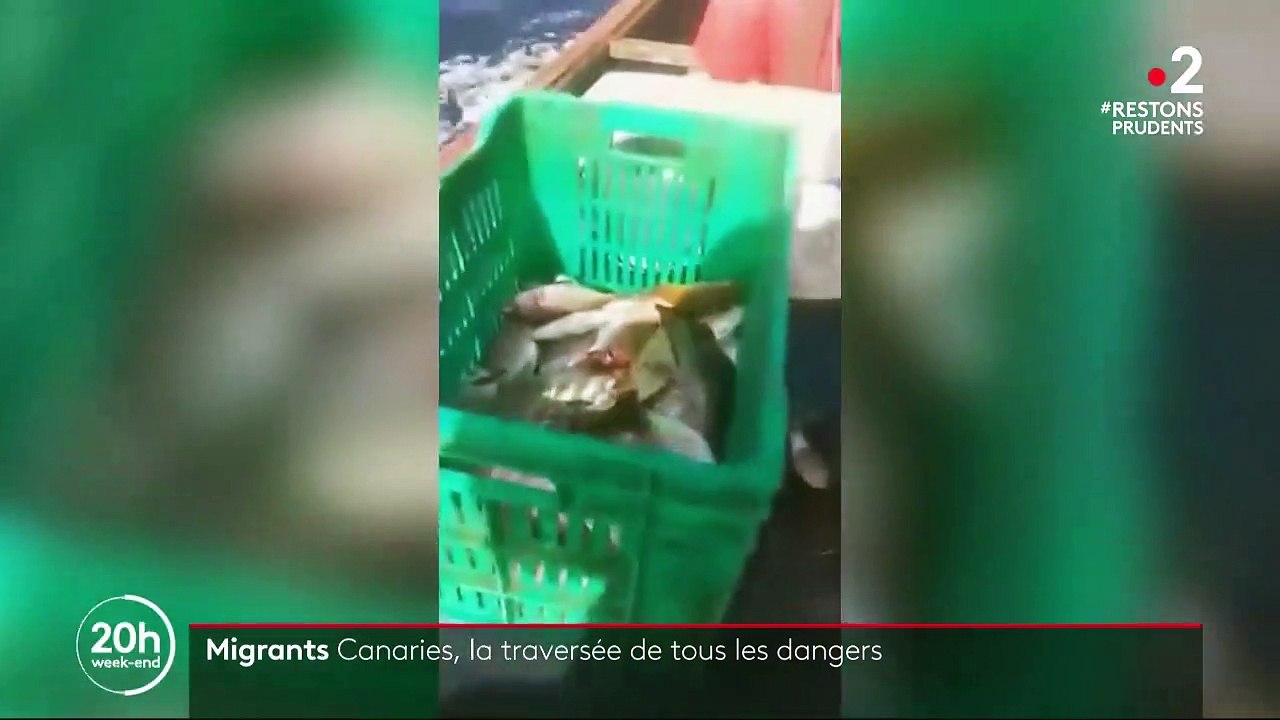 Migrants : entre le Sénégal et les îles Canaries, une route de l'immigration dangereuse