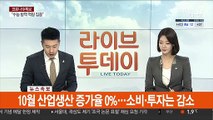 [속보] 10월 산업생산 증가율 0%…소비·투자는 감소