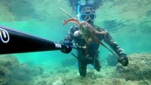 Spearfishing Octopus / Zıpkınla Ahtapot Avı