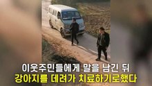 (분노주의) 점점 커지는 얼굴 혹을 주인이 치료하지 않은 이유