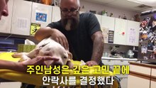 반려견의 안락사, 보호자가 웃음 지었던 이유..