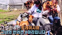 한 여성이 장애견들을 입양하게 된 특별한 이유가 있다는데..