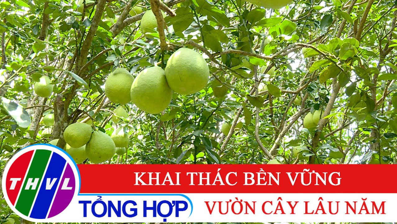 Nông nghiệp bền vững: Khai thác bền vững vườn cây lâu năm