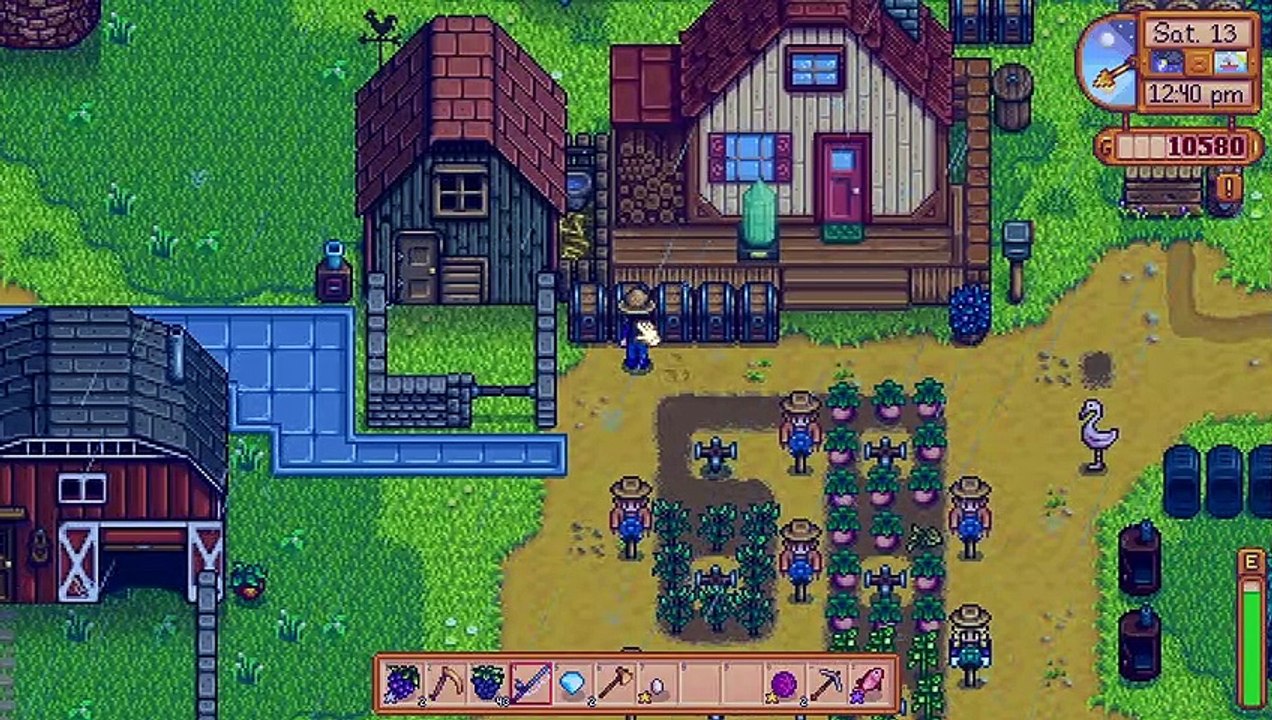 Stardew Valley: The storage