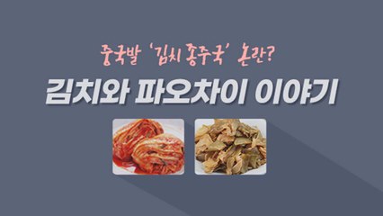 [앵커리포트] 중국발 '김치 종주국' 논란? '파오차이'가 뭐길래... / YTN