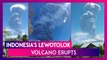 Indonesia's Lewotolok Volcano Erupts, Spews 4 Km High Ash Plume Into The Sky, Thousands Evacuated