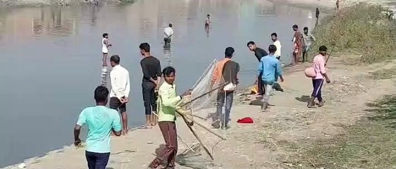 शाहजहांपुर: केमिकल से नदी मे मौत की नींद सोईं मछलियां, लोगों में मचा हुड़दंग