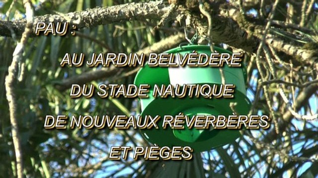 LES W-D.D. MICHOU64 NEWS - 25 NOVEMBRE 2020 - PAU - AU JARDIN BELVÉDÈRE DU STADE NAUTIQUE DE NOUVEAUX RÉVERBÈRES ET PIÈGES
