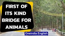 Uttarakhand builds unique bridge for reptiles to cross | Oneindia News