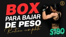 Rutina de box para principiantes: golpes y movimientos básicos