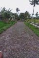 Jalan Utama Desa Sulek Bondowoso Rusak