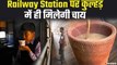 Piyush Goyal का ऐलान, हर रेलवे स्टेशन पर मिलेगी कुल्हड़ में चाय ! | Railway Minister Kulhad Tea