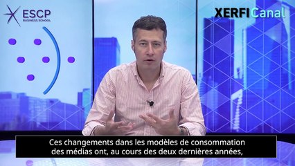 Le marketing d'influence / Influence Marketing [Michael Haenlein]