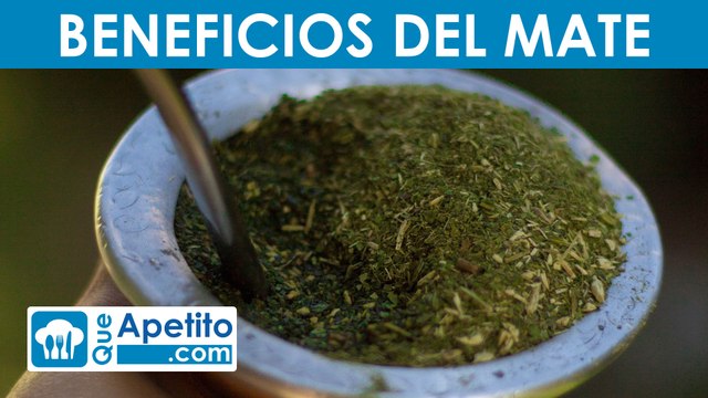 8 Propiedades y Beneficios del MATE | QueApetito