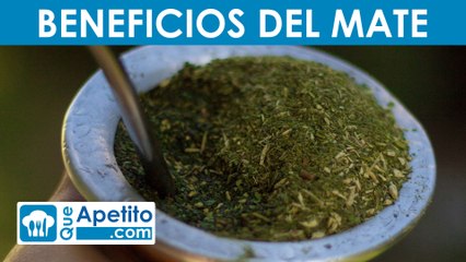 8 Propiedades y Beneficios del MATE | QueApetito