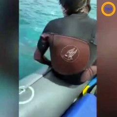 Un surfeur poursuivi par deux requins réussit à leur échapper