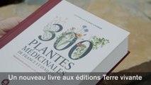 300 plantes médicinales de France et d'ailleurs - Un livre de Claudine Luu et Annie Fournier