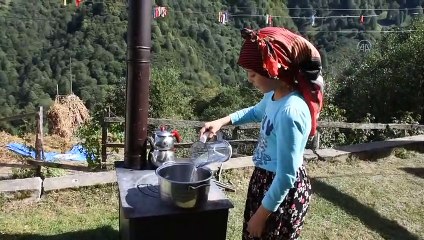 TRABZON - Orman Bölge Müdürlüğünden 'maviyemiş' atağı