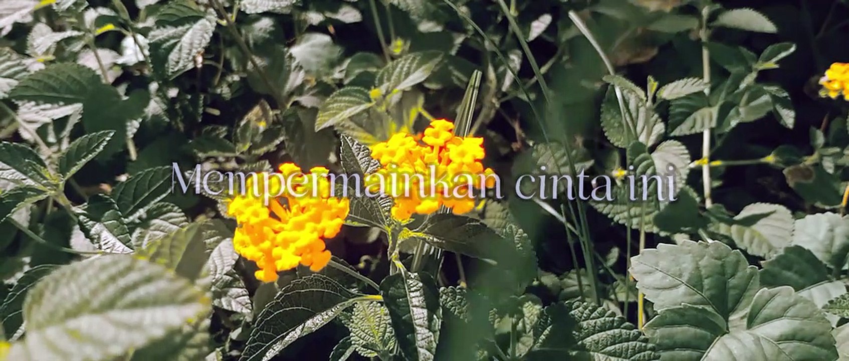 Marina Elsera - Cintamu Hanya Hiasan Dusta (Official Lyric Video)