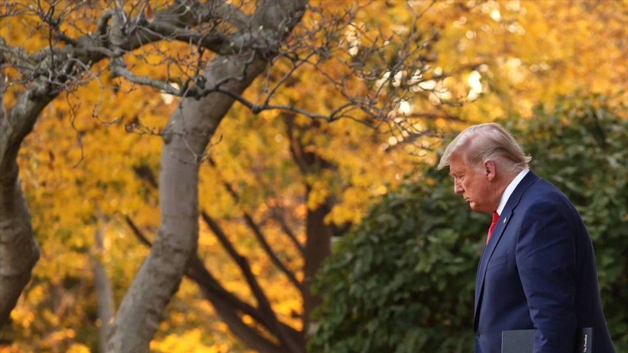 Who's Donald Trump
