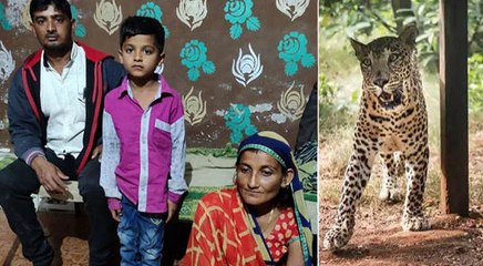 खेत में 8 साल के बेटे पर टूट पड़ा तेंदुआ, मां ने धूल-मिट्टी मारकर चंगुल से छुड़ाया, हो रही तारीफ